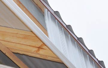 why Blue Town fascia repairs are essential