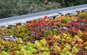 the cost of Blue Town green roof installation