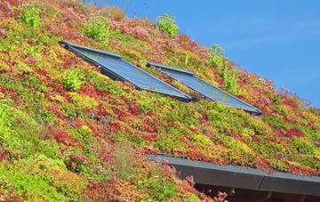 Blue Town living roof systems