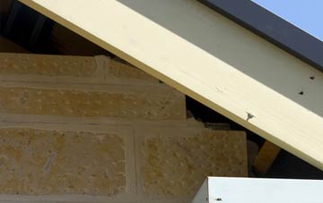 soffit repair Blue Town